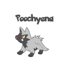 Pokemon | Poochyena